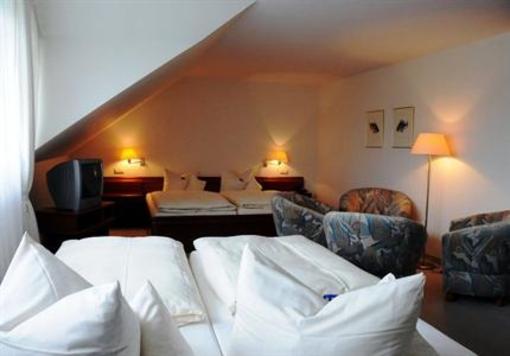 фото отеля Hotel Rabennest Raben Steinfeld