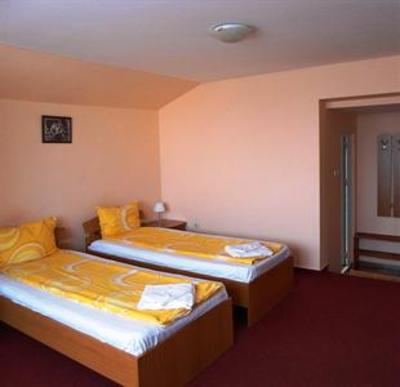 фото отеля Leon Hotel Satu Mare
