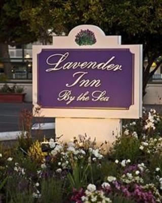 фото отеля Lavender Inn by the Sea