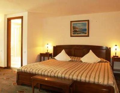 фото отеля Palace Dumbrava Hotel Sibiu