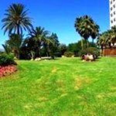 фото отеля Hotel L Sun Club Alcudia