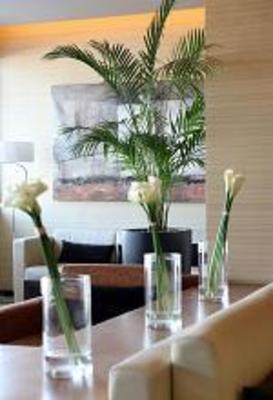 фото отеля Villa Blanca Hotel Casablanca