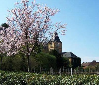 фото отеля Hotel Schloss Edesheim