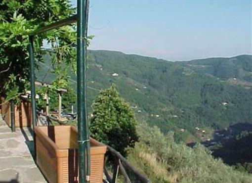 фото отеля Fattoria di Pietrabuona