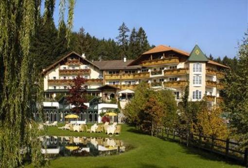 фото отеля Alpine Sport and Wellness Hotel Viktoria