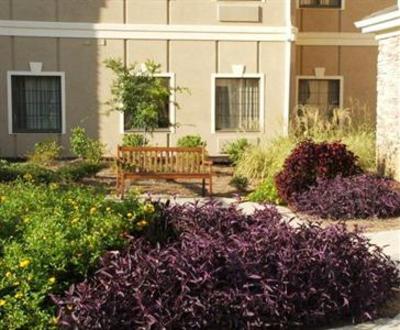 фото отеля Staybridge Suites Jackson