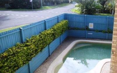 фото отеля Coolum Motel