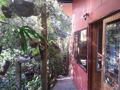 фото отеля Manakin Lodge Monteverde