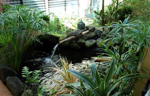 фото отеля Honu Kai Bed & Breakfast Kailua Kona