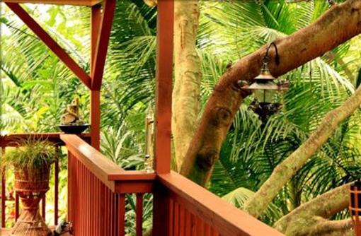 фото отеля Honu Kai Bed & Breakfast Kailua Kona