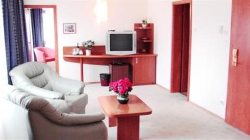 фото отеля Hotel Irisa