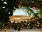 фото отеля The Blue Orchid Resort