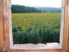 фото отеля Casale Il Colombaio