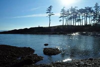 фото отеля Poets Cove Resort & Spa