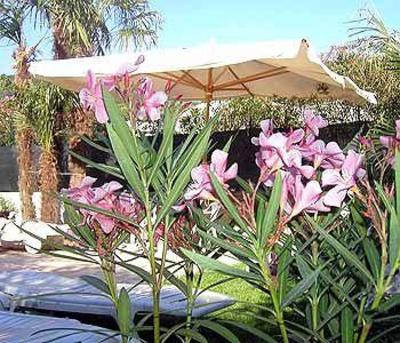 фото отеля Hotel Gabry