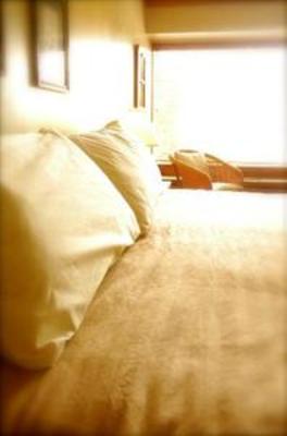 фото отеля Edgewater Lodge Whistler