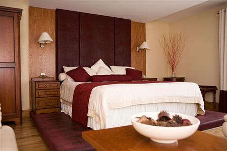 фото отеля Springfield Hotel Leixlip