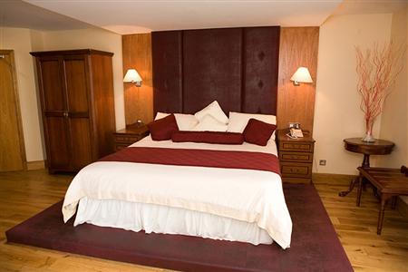 фото отеля Springfield Hotel Leixlip