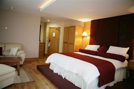 фото отеля Springfield Hotel Leixlip