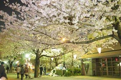 фото отеля Chisun Inn Asakusa