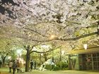 фото отеля Chisun Inn Asakusa