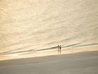 фото отеля Hilton Marco Island Beach Resort