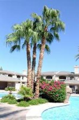 фото отеля Sonoran Suites Scottsdale