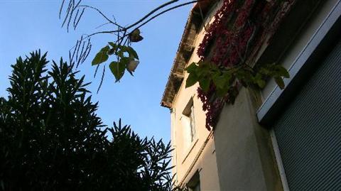 фото отеля Hotel d'Angleterre Avignon