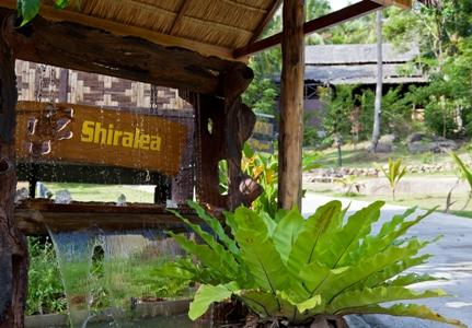 фото отеля Shiralea Backpackers Resort