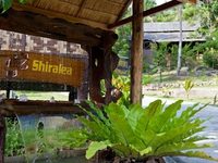 Shiralea Backpackers Resort