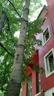 фото отеля Red Bed & Breakfast Sofia