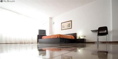 фото отеля Hotel Villa Roxana
