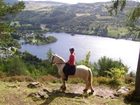 фото отеля Mains of Taymouth Cottages