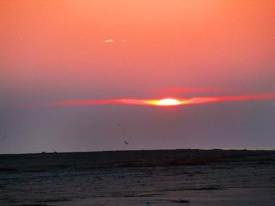 фото отеля Hampton Inn and Suites Charleston/Mt. Pleasant-Isle Of Palms