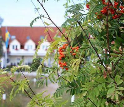 фото отеля Aparthotel Königslinie Sassnitz