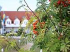 фото отеля Aparthotel Königslinie Sassnitz