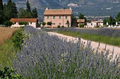 фото отеля Country House Casco Dell'acqua