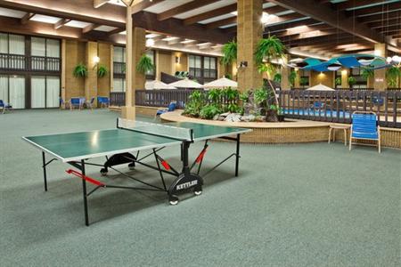 фото отеля Holiday Inn Alpena