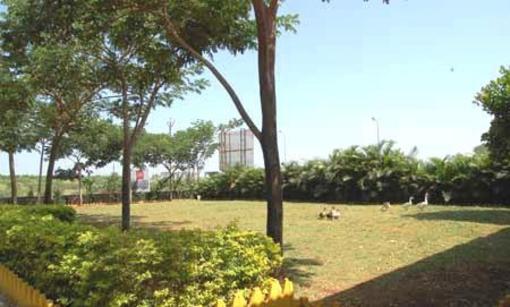фото отеля Anand Resorts