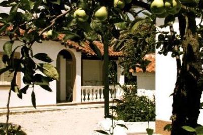 фото отеля Paradise Village Resort Thinali