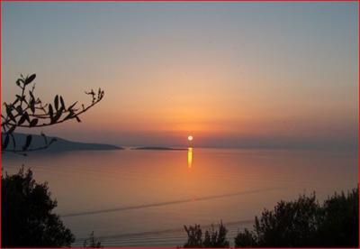 фото отеля Plataria Beach Bungalows