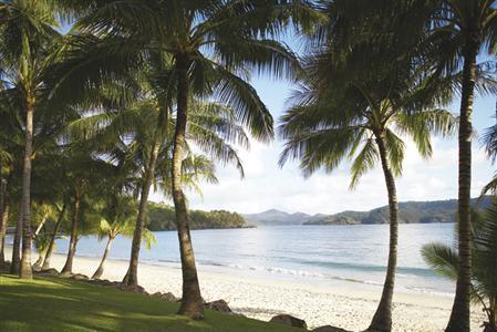 фото отеля Palm Bungalows