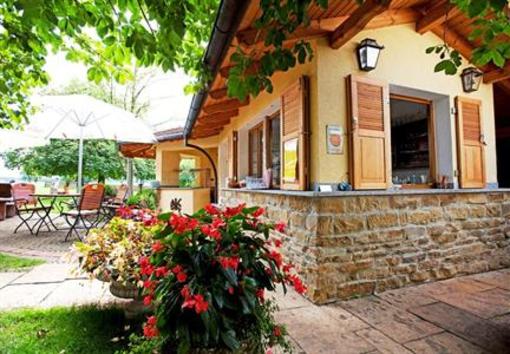 фото отеля Widmann's Lowen Hotel-Restaurant