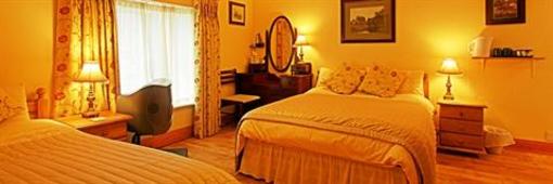 фото отеля O'Driscoll's Bed & Breakfast Glin