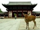 фото отеля Ryokan Matsumae