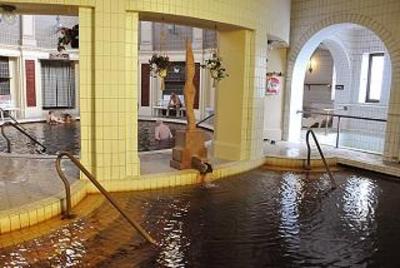 фото отеля Hotel Tisza