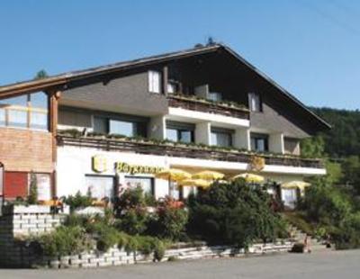 фото отеля Hotel-Restaurant Baergsunne