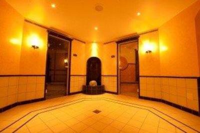 фото отеля Hotel Wildstrubel