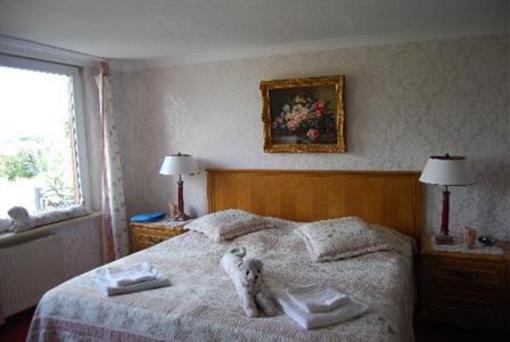 фото отеля Zur Traube Hotel-Gasthaus-Sommergarten