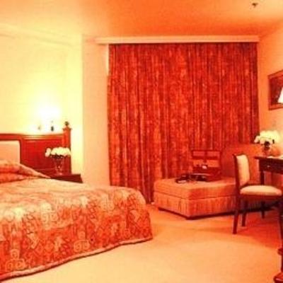 фото отеля New Century Grand Hotel